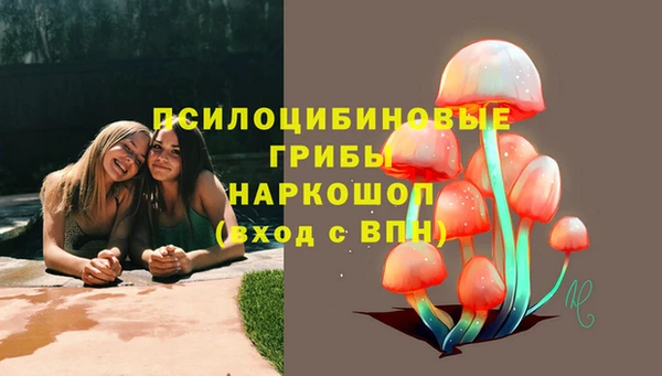 а пвп мука Абдулино